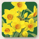 Suche nach narzisse untersetzer Botanik