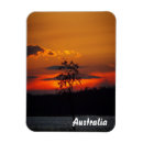 Suche nach bäume australien magnete Reise