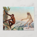 Suche nach gibbon postkarten Vintag