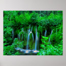 Suche nach dunkelgrüne poster Pflanze