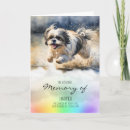 Suche nach shih tzu hund karten Haustier