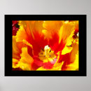 Suche nach gelbe tulpe poster Für sie