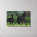 Suche nach bewegen leinwandbilder Thoroughbred