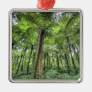 Suche nach bali ornamente Palme