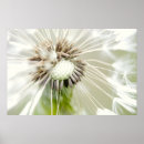 Suche nach makro poster Natur