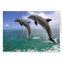 Suche nach tümmler postkarten Bewegung