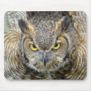 Suche nach eulen foto mousepads Fotografie