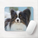 Suche nach papillon hunde mousepads Niedlicher hund