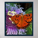 Suche nach gulf poster Schmetterling