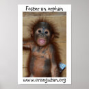 Suche nach orang utans poster Großer affe