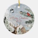 Suche nach winterlandschaft ornamente Winterwunderland
