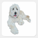 Suche nach goldendoodles aufkleber Jede person