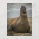 Suche nach gähnen postkarten Für alle