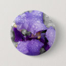 Suche nach lila iris buttons Quelle