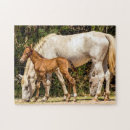 Suche nach wilde mustangs puzzle Senf