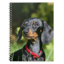 Suche nach haarig kleine notizbücher Bob und pam langrish