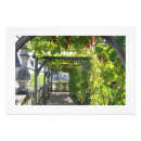 Suche nach trauben poster Weinberge