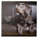 Suche nach er war hinter dem sofa untersetzer Sich hinlegen