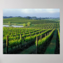 Suche nach napa poster Usa