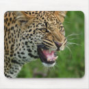 Suche nach wildes tier mousepads Natur