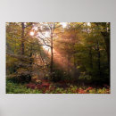 Suche nach sonnenstrahl poster Herbst