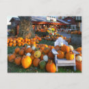 Suche nach adirondack stuhl postkarten Herbst