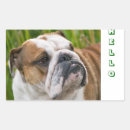 Suche nach bulldogge aufkleber Jede person