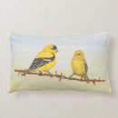 Suche nach finke kissen Goldfinch