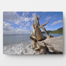 Suche nach küste fotoplatten Ozean