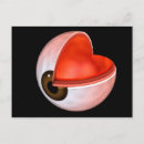 Suche nach prozesse poster postkarten Medizin