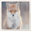 Suche nach roter fuchs untersetzer Wild