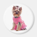 Suche nach yorkshire terrier magnete Hund