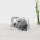 Suche nach led karten Hund