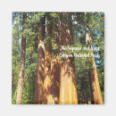 Suche nach sequoia magnete National