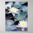Suche nach wasserlilie poster Lilien