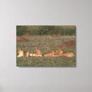 Suche nach geschwister leinwandbilder Natur