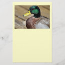 Suche nach flügel flyer Vogelvogel