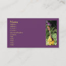 Suche nach mandoline visitenkarten Musikinstrument