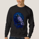Suche nach huginn Rabe