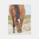 Suche nach mustang decken Ranch