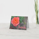 Suche nach garten rosen karten Rosa