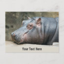 Suche nach siesta postkarten Jede person