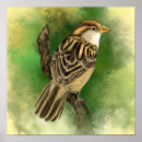 Suche nach beautiful poster Bird