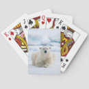 Suche nach fauna spielkarten Superstock