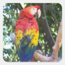 Suche nach hübscher vogel aufkleber Jede person