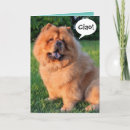Suche nach chow chow karten Hund