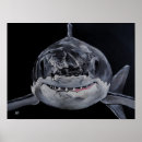 Suche nach weißer hai poster Raubtier