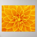 Suche nach flowers poster Orange
