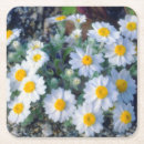 Suche nach franken untersetzer Blüte