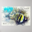 Suche nach idole poster Fische